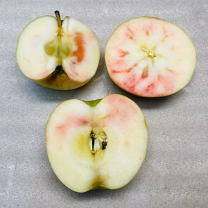 加工用【果肉が赤い！】ムーンルージュ　5kg