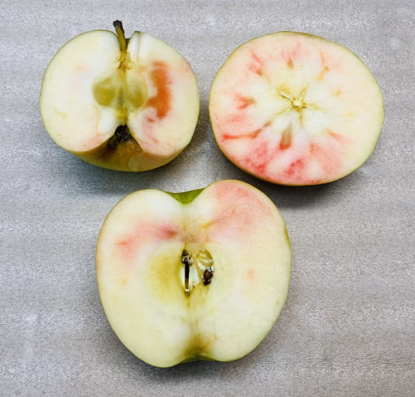 加工用【果肉が赤い！】ムーンルージュ　5kg