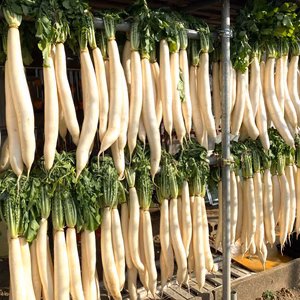 【lunaluna様専用】天日干し大根(5本＋付属漬物材料1式)