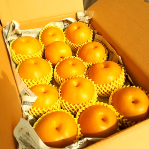 C5 ハネモノあきづき、二十世紀、豊水Mix  5キロ箱に入るだけ