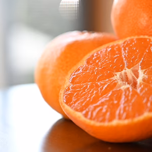 三ヶ日青島みかん 大玉・サイズ規格外