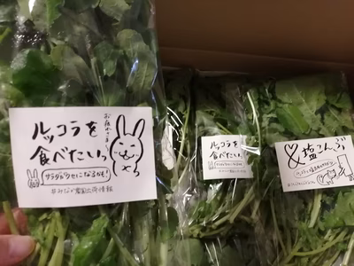 みんなの投稿の画像