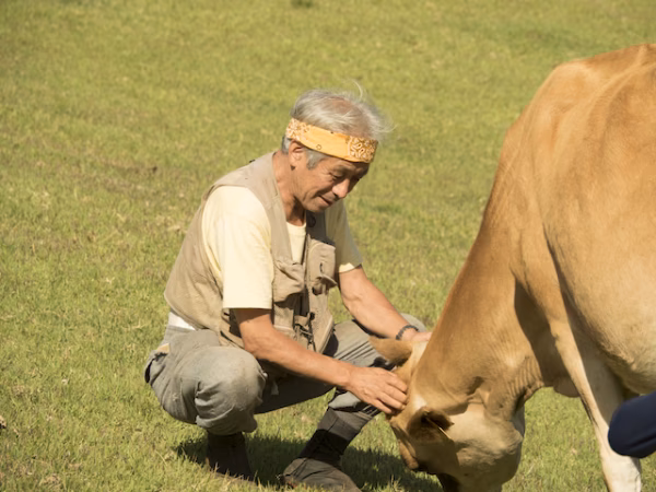 なかほら牧場