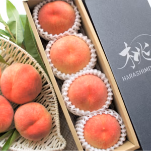 ★糖度12度以上厳選の桃★　【夏ギフト】贈り物に最適、熨斗対応可