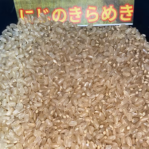 にじのきらめき　(中粒)☆　酵素散布米　虹のきらめき　白米