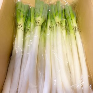 自然栽培　白ネギ　島根県大田市産　農薬・肥料不使用