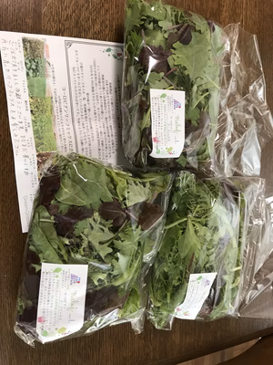 みんなの投稿の画像