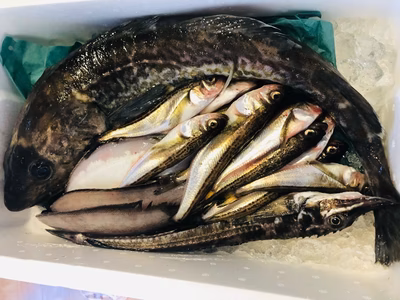 みんなの投稿の画像