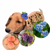 岡野将熙 | 縁将