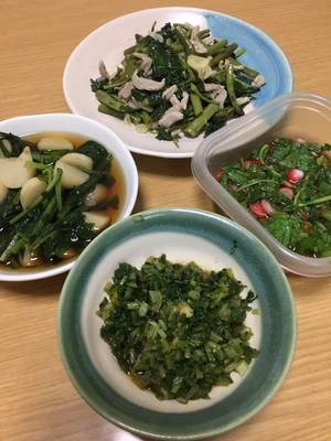 みんなの投稿の画像