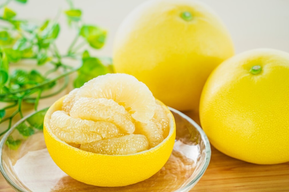 厳選】☆日本ギフト大賞受賞☆｜□贈答用・化粧箱｜大玉3kg〜｜土佐