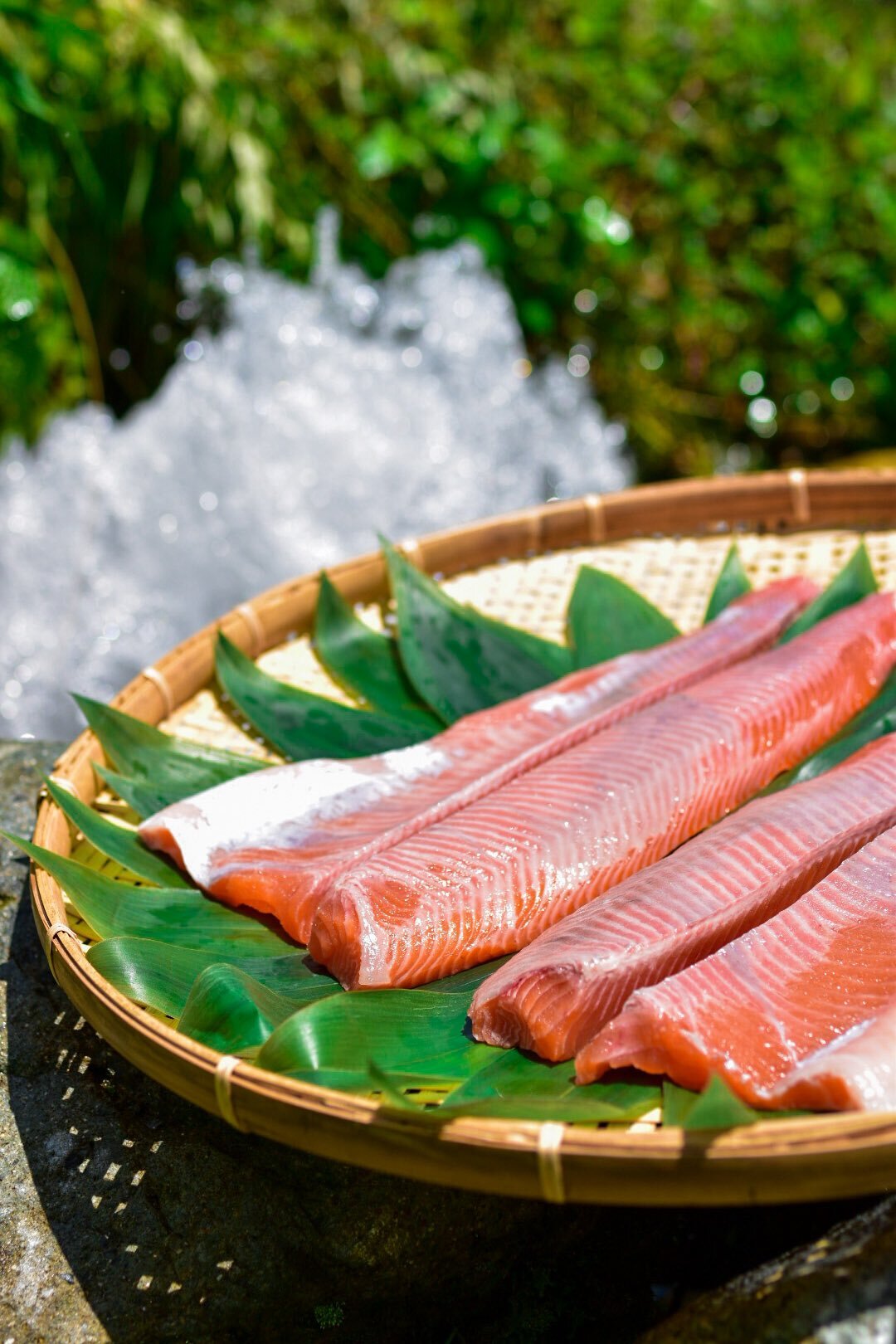 日本一を目指すサーモン 頂鱒のフィレ 生食用 農家漁師から産地直送の通販 ポケットマルシェ