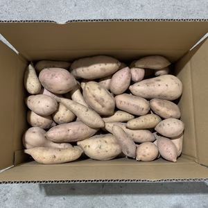 安納こがね１キロフリーサイズ