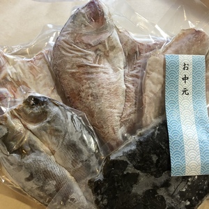 お中元)季節干物4枚・そうめんなのお得セット