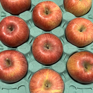 超特大‼️シャキシャキ❗️完熟サンふじ♪信州りんご 