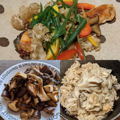 みんなの投稿の画像