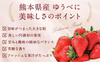 とっても新鮮(*^^*)朝採りいちご