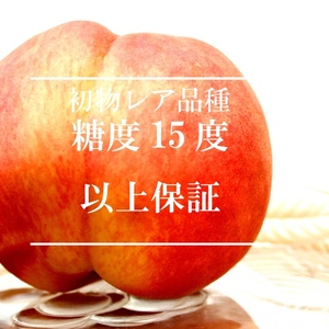 北海道沖縄【驚異的甘さ】糖度15度以上保証感動ふくおとめ桃！