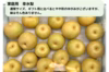 《ご家庭用》上品な甘さとシャリッと食感‼️幸水梨