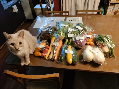 みんなの投稿の画像