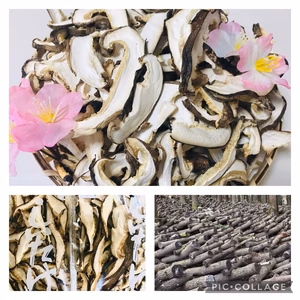 天然原木栽培　スライス干し椎茸80g  どんこ16gプレゼント付き‼️