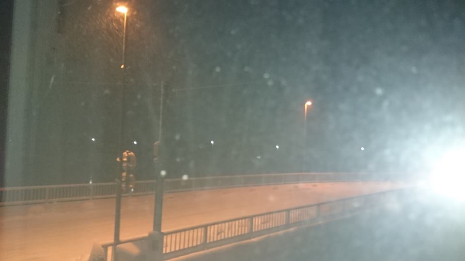 16003041_1910928419141132_2914286975941983699_n