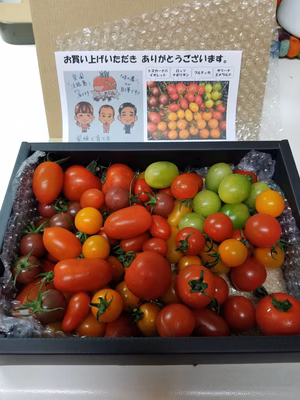 みんなの投稿の画像