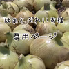はぁとぷれいす様専用野菜