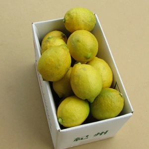 紀伊路屋 和歌山有田産 レモン(檸檬)1.8kg