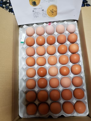 みんなの投稿の画像