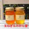 瀬戸の花はちみつ「みかん蜜」「玉ねぎ蜜」大瓶セット600g×2