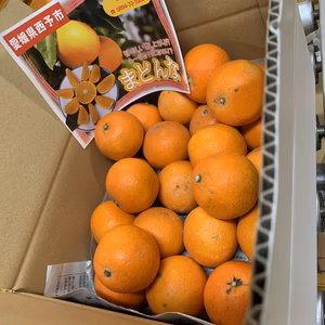 小さいまどんな 箱込3キロ　no6