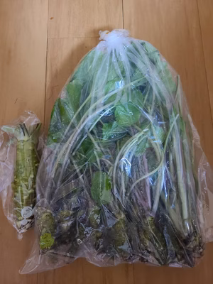 みんなの投稿の画像