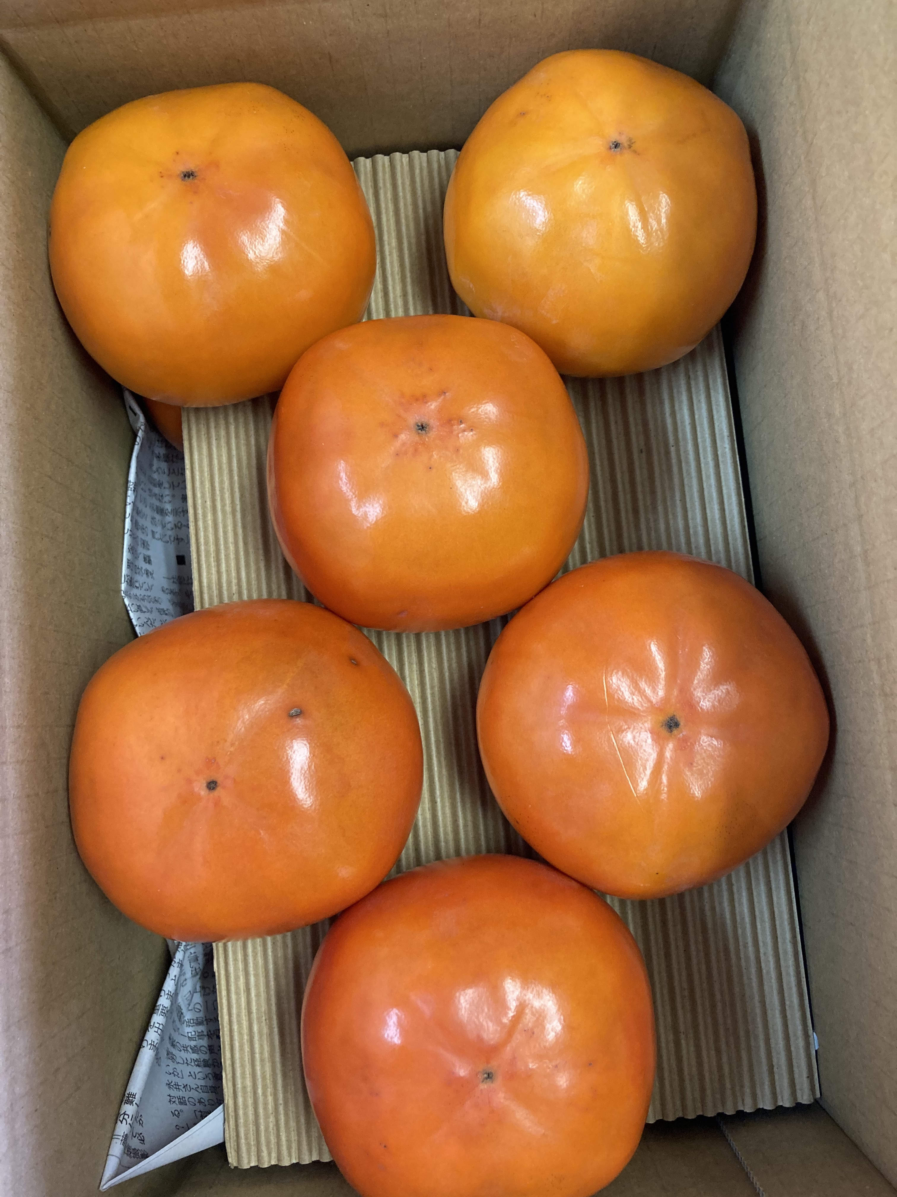 家庭用♪陽豊柿(甘柿) 3Lサイズ5個