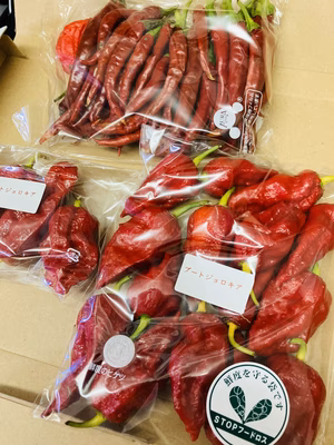 みんなの投稿の画像