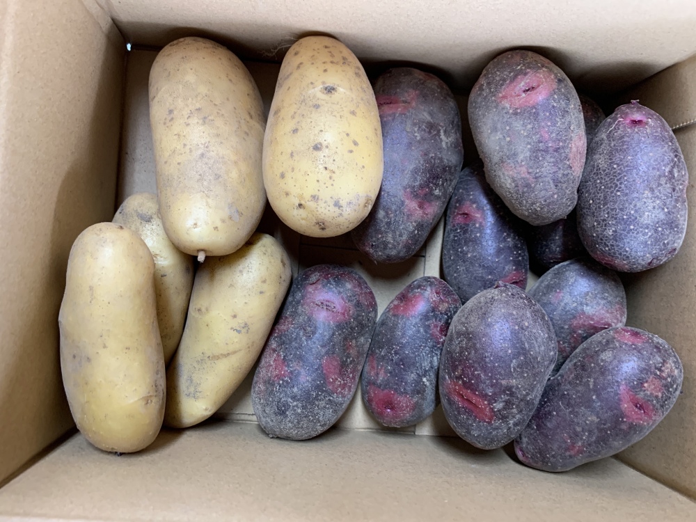 デストロイヤーの産直通販・お取り寄せ商品｜ポケットマルシェ｜産地