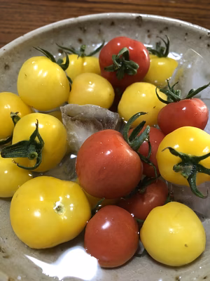 みんなの投稿の画像