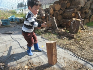 14650300_1099135780194201_6322871936372135754_n