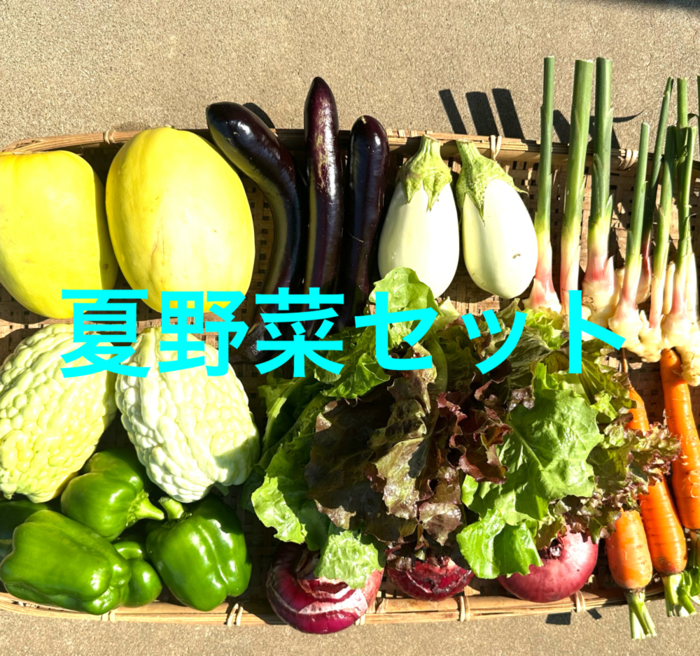 ハマハマ様 野菜セット 果物追加 b-690_01.jpg