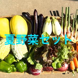 【夏野菜セット・ver3】6〜8種類の詰合せ