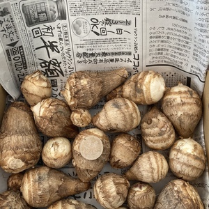 ポケマル便 掘りたてをお届け 洗い里芋 セレベス 赤目芋 農家漁師から産地直送の通販 ポケットマルシェ