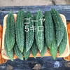 鹿児島産甘ゴーヤ5キロ^_^