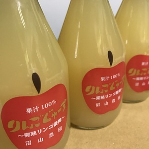 【無加水】果汁100％ りんごジュース 180ml