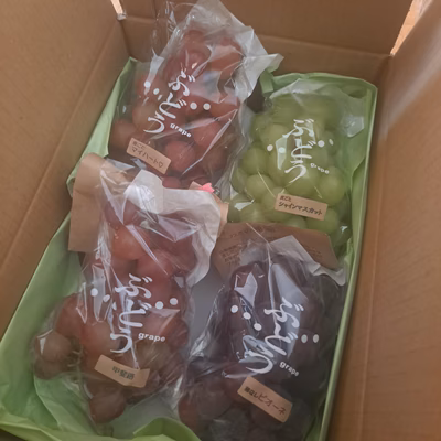 みんなの投稿の画像