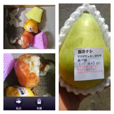 みんなの投稿の画像