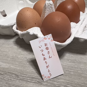 母の日ギフト｜純国産あずさの平飼い卵 24個入り