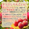 【予約商品・送料無料】山形県産りんご サンふじ シナノゴールド詰め合わせ