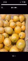 ⭐️希少⭐️樹熟 凛の香レモン 減農薬 使い道色々☆皮まで使えます☆