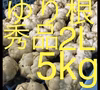 北海道産 ゆり根 2L 5kg 秀品 大特価 野菜