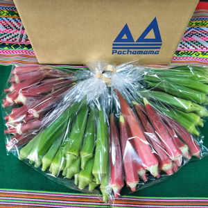 オクラ大好きさん　オクラたくさんいかがですか?　パチャママ農園